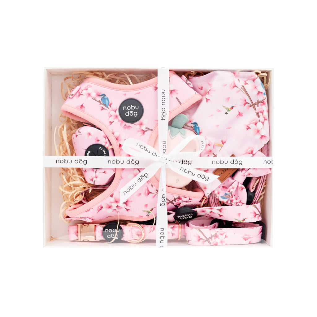 Cherry Blossom Ultimate Dog Gift Box • Nobu Dog • Gift Box