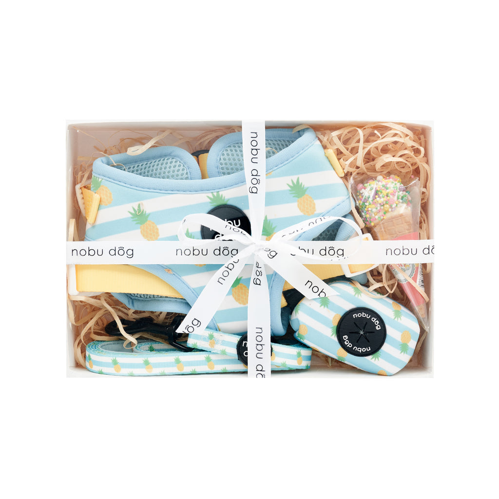 Cappy Pineapple Adventure Dog Gift Box • Nobu Dog • Gift Box