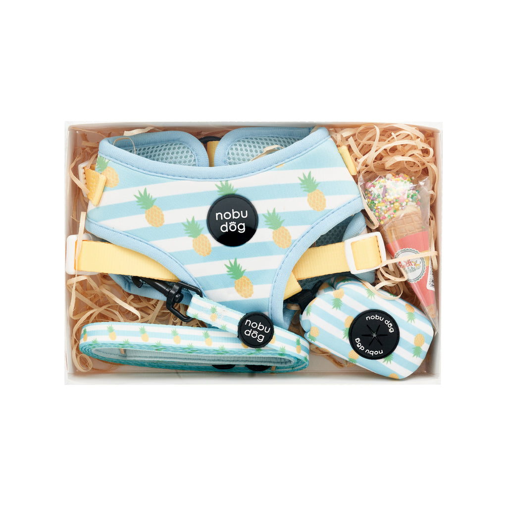 Cappy Pineapple Adventure Dog Gift Box • Nobu Dog • Gift Box