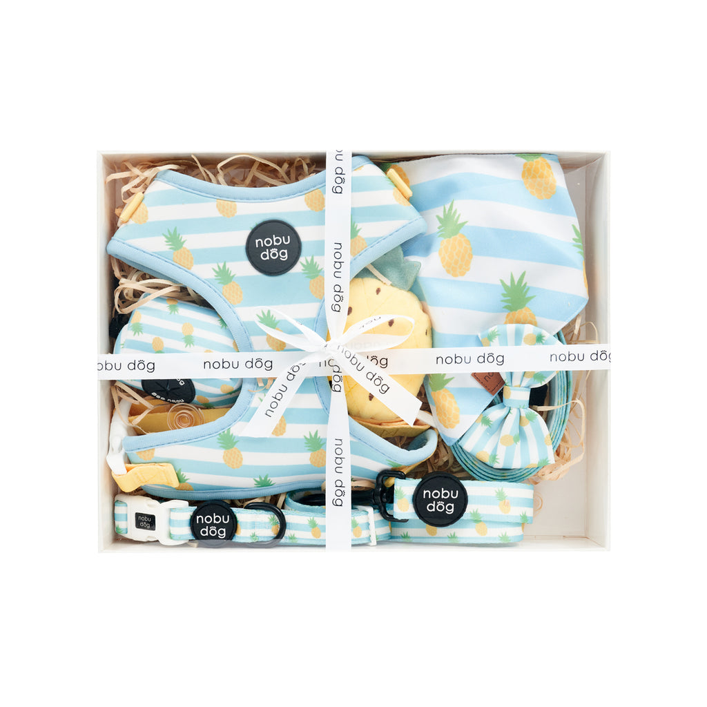 Cappy Pineapple Ultimate Dog Gift Box • Nobu Dog • Gift Box