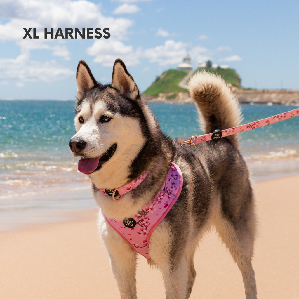 Cherry Blossom Adjustable Dog Harness • Nobu Dog • Harness