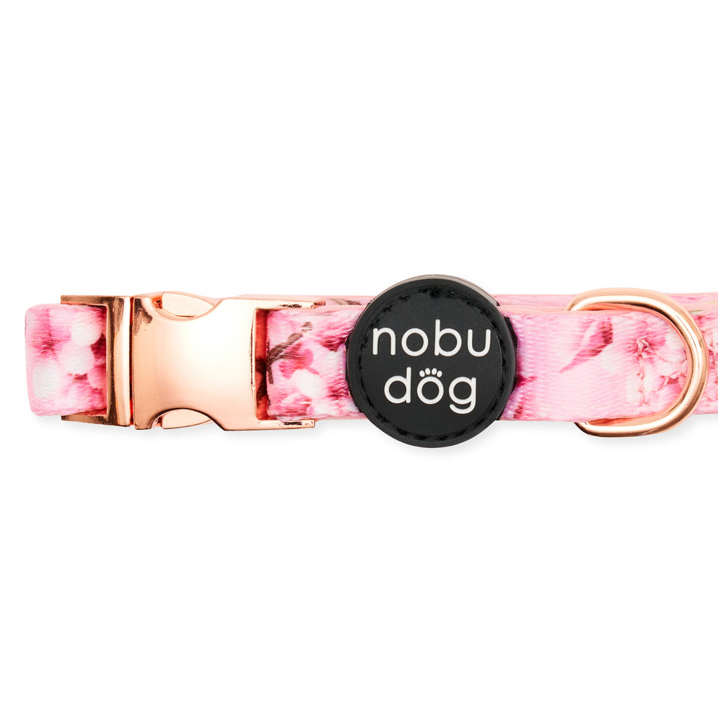 Cherry Blossom Adjustable Dog Collar • Nobu Dog • Collar