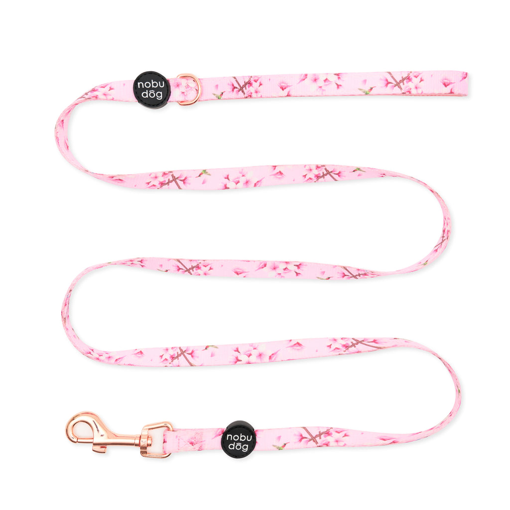 Cherry Blossom Dog Leash • Nobu Dog • Leash